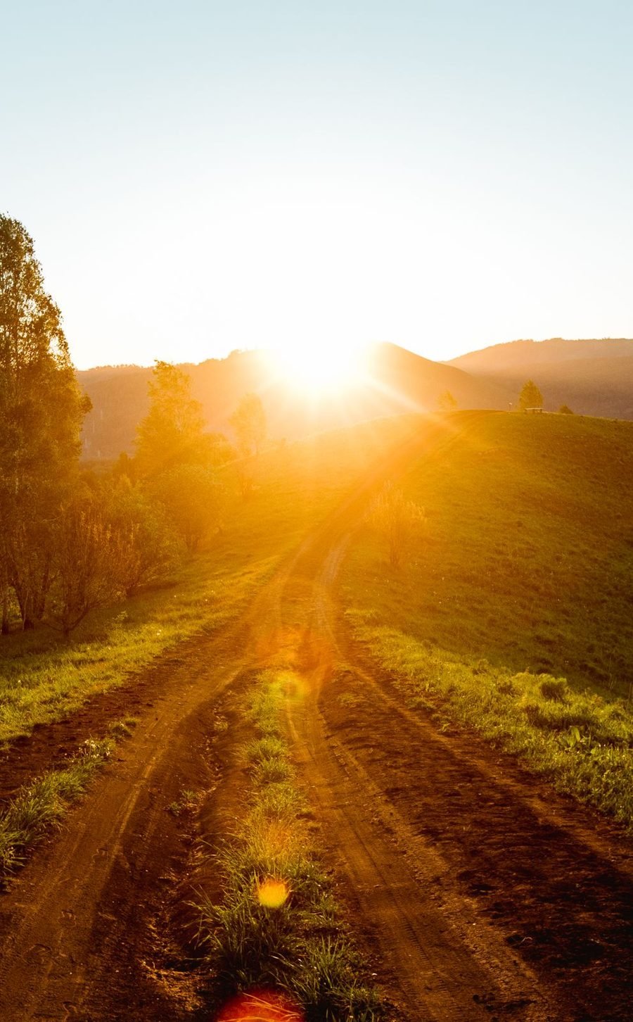 A dirt road climbing a green hill toward the rising sun